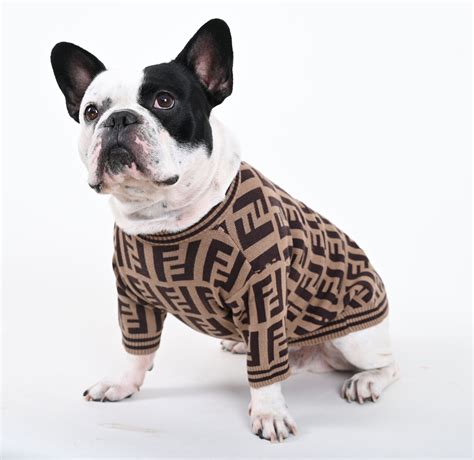 frenchie clothes for humans|More.